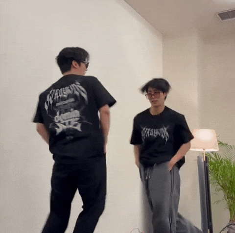 Stray Kids Skz GIF