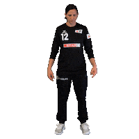 Schweiz Sticker by Swiss Handball