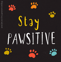 cat GIF