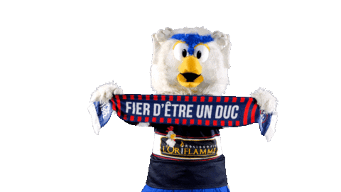 Hockey Ice Sticker by Les Ducs d'Angers