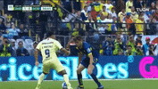GIF by Club America