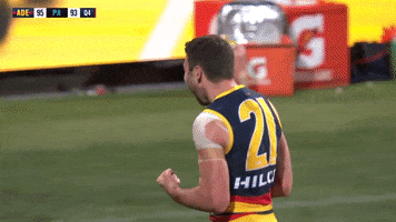 australian football league hug GIF by Adelaide Crows