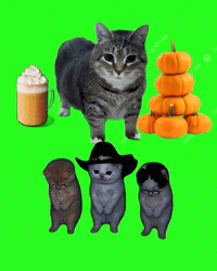 LA CALABAZA