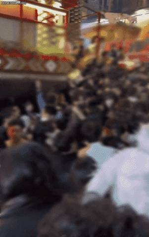 qwerpoiu22ppop giphyupload GIF