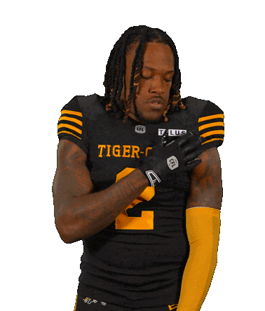Tiger-Cats Cfl Sticker by Hamilton Sports Group