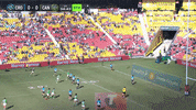 Try Nrl GIF by Canberra Raiders