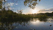 Summer Spring GIF by University of Florida