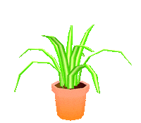 Spider Plant 3D Sticker by jjjjjohn
