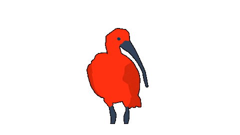 Bird Guaratuba Sticker by Guará Mapping Festival