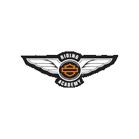 harleydavidson harley harley-davidson h-d harley motorcycle Sticker