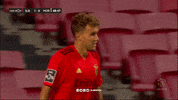Sl Benfica Slbgif GIF by Sport Lisboa e Benfica
