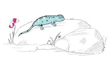 sleep lizard Sticker by Breden Kids