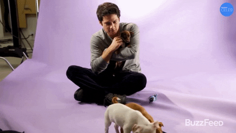 Dylan Obrien GIF by BuzzFeed