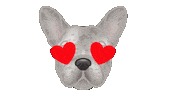 Love It Dog Sticker by zoopeez