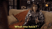 What The Hell Wtf GIF by CBS