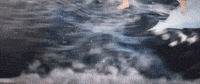 hayao miyazaki animation GIF by Digg