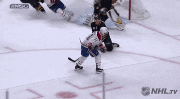 happy ice hockey GIF by NHL