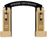 Black And Gold Graduate Sticker by Purdue University