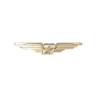 First Officer Wings Sticker by Ameriflight