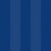 Mal Oliver GIF by Odense Boldklub