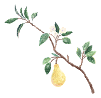 chaxlai_illustration nature flower spring autumn Sticker