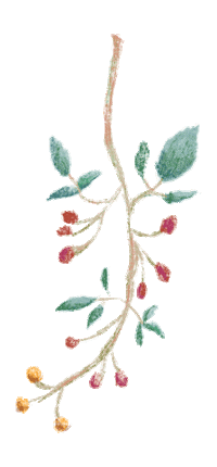 chaxlai_illustration christmas nature xmas santa Sticker