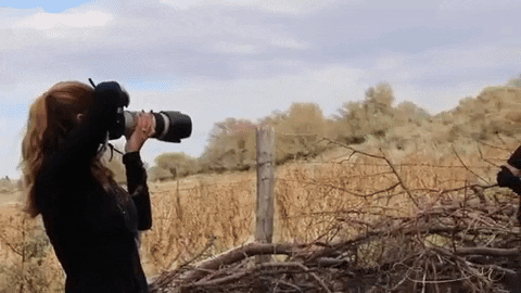 ideadistro giphygifmaker halloween model photographer GIF