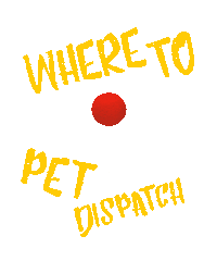 Dog Day Cat Sticker by WHERE TO PET ?