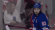 Ice Hockey Sport GIF by NHL