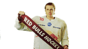 Red Bulls Merchandise Sticker by EC Red Bull Salzburg