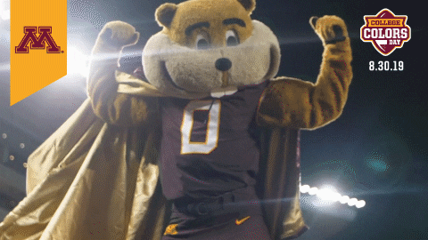 College Sports Minnesota GIF by College Colors Day