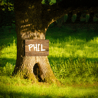 Illustration Lol GIF by Robbie Cobb