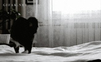 post gif