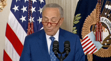 Persist Chuck Schumer GIF by GIPHY News Persist Chuck Schumer GIF by GIPHY News