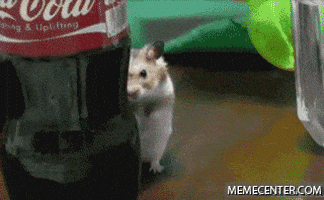 soon GIF soon GIF