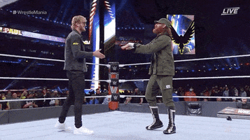 Logan Paul Sport GIF by WWE