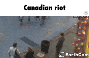 riot GIF riot GIF