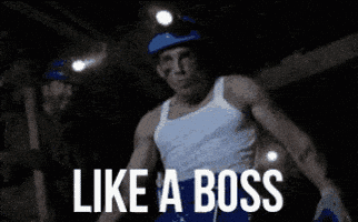 like a boss GIF like a boss GIF