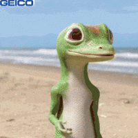 Beach Gesturing GIF by GEICO