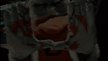 u hands college basketball GIF by Miami Hurricanes