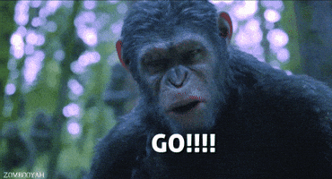go go go GIF go go go GIF