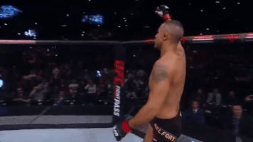 ufc 212 GIF