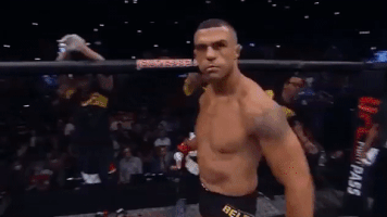 ufc 212 GIF
