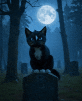 Happy Halloween GIF by Felini Rocks
