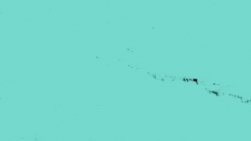 bbc three lets settle this GIF by BBC