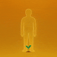 Gold World GIF by WeQuorum