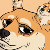 Shiba Dogecoin GIF by Doge Pound