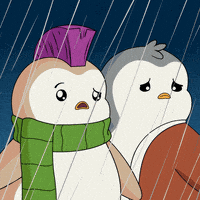 No Way What GIF by Pudgy Penguins