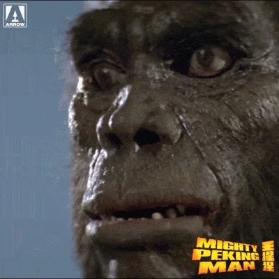 Happy Martial Arts GIF by Arrow Video