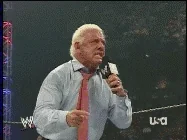 ric flair GIF